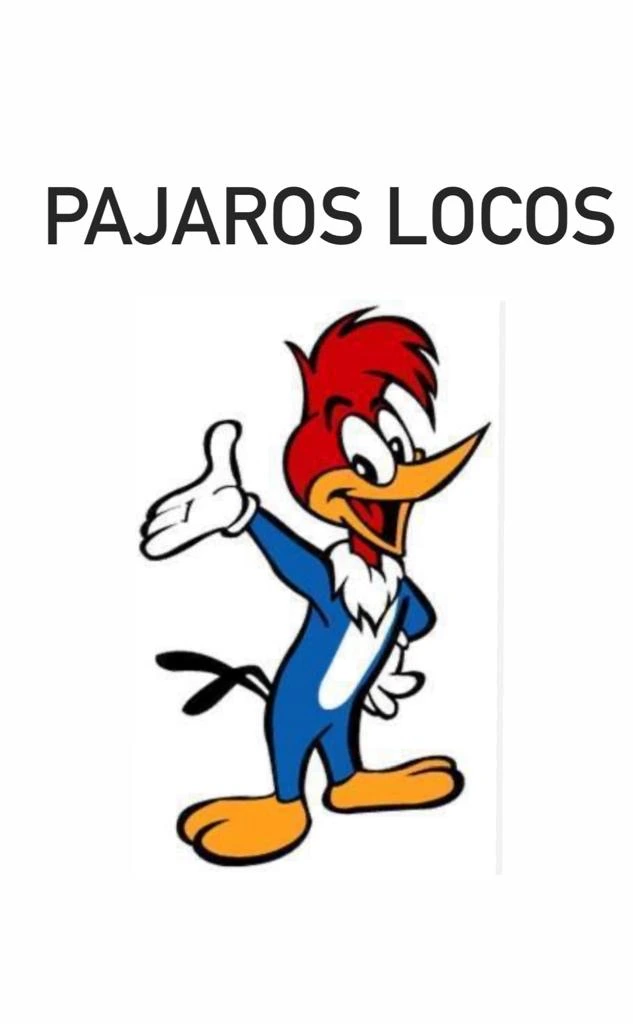 Pájaros Locos